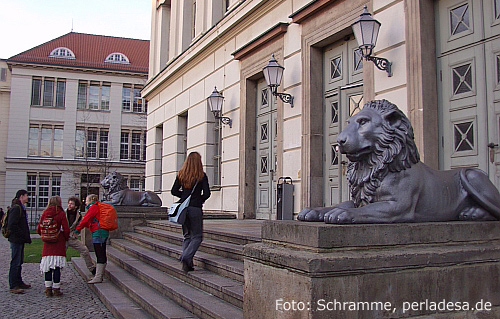 especially the University of Halle is a link to the world, Foto: Martin Schramme